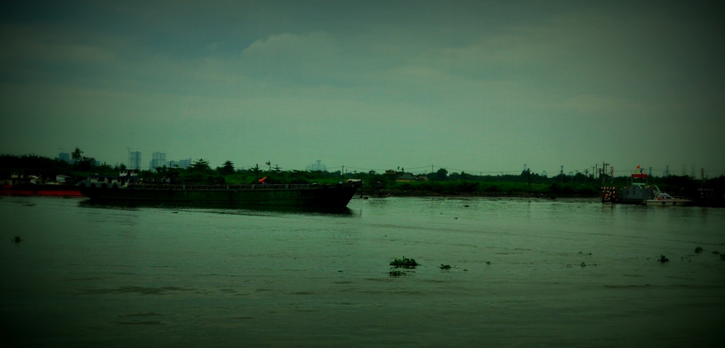 Not Impressed: Mekong in Ho Chi Minh city