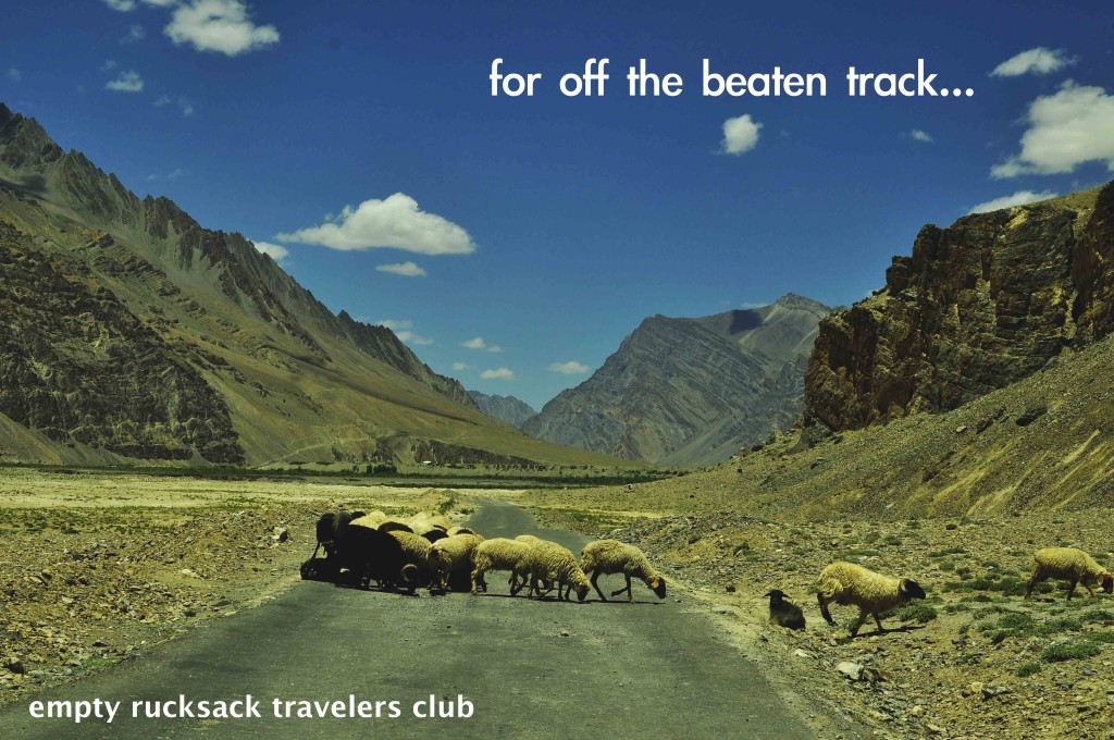 Ladakh, sheep, cattle, mountains, India, Zanskar